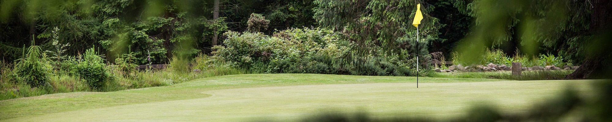 Hazlehead Pines Golf Course