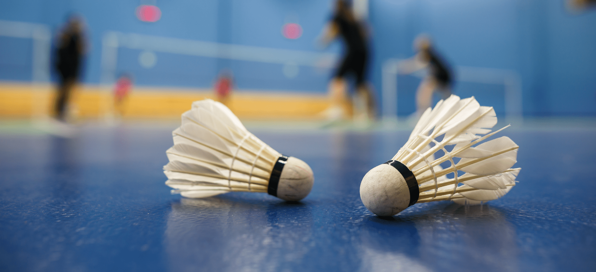 Match of Badminton