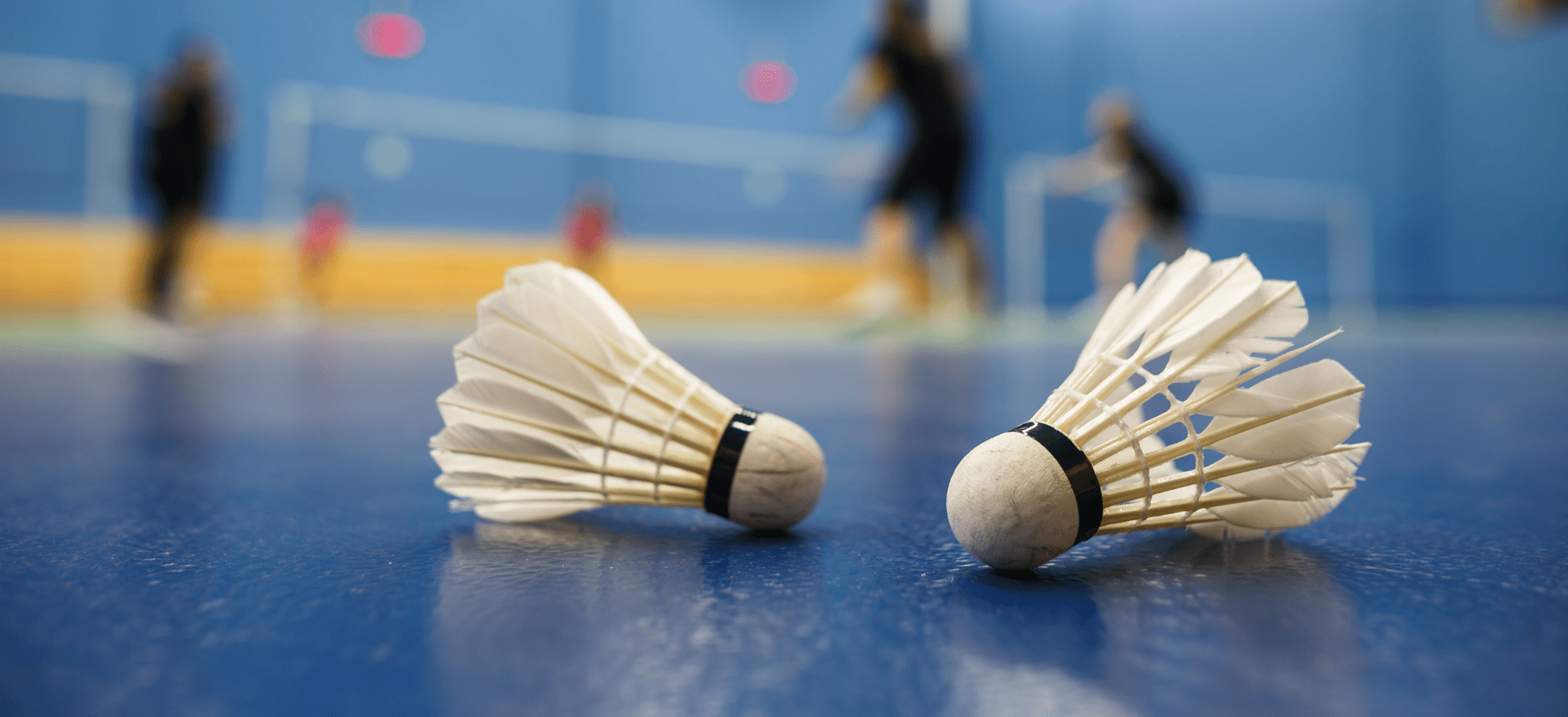 Badminton Sport Aberdeen Competitive and Fun Sport