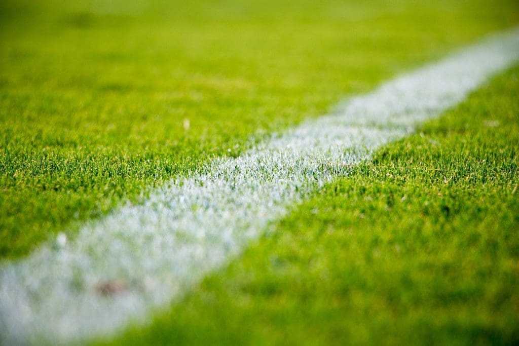 Grass pitch